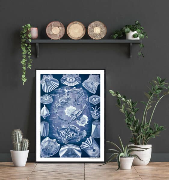 Framed Hestesko Krabbe plakat featuring blue vintage-style illustration of seashells, seahorses, and sea creatures on a dark wall with plants.