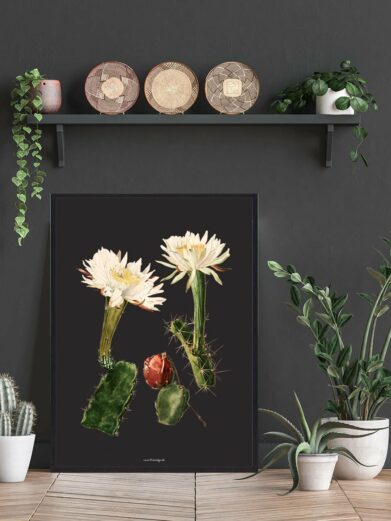 Kaktus Plakat: Close-up of a framed botanical print featuring cacti with white flowers and red fruit, set in a stylish interior.