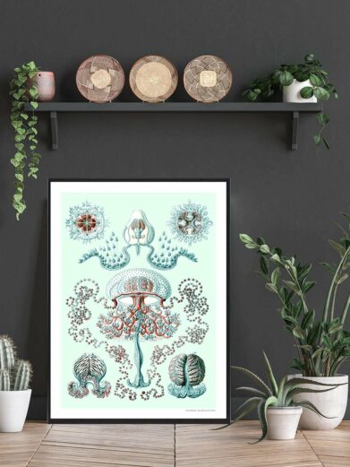 Framed Dyb hav plakat (Deep Sea Poster) featuring sea creatures on a light green background. Home decor, nature art.