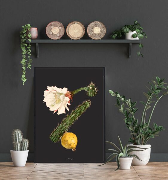 Close-up of Kaktus Plakat, a botanical print featuring a blooming cactus with white flower, green stem, and yellow fruit on black background.