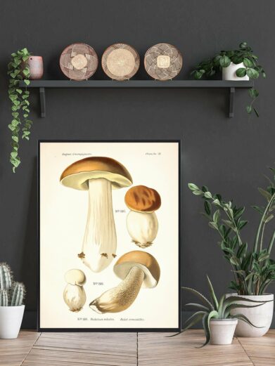 Karl Johan Svampe plakat featuring vintage illustration of edible Boletus mushrooms on a black framed print, styled in a home decor setting.