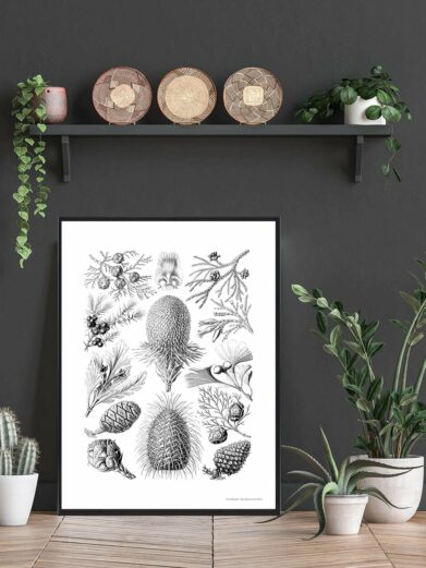 Botanical Illustration Art Print: Detailed black and white 'Dyb hav' plakat featuring various plant species, styled in a modern home setting.
