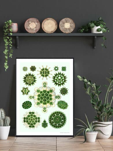 Framed Ocean 3 plakat featuring green and white vintage botanical illustrations of marine life, styled in a modern interior setting.