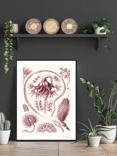 Framed Ocean 3 plakat featuring detailed botanical drawings in mauve tones against a cream background in a styled room setting.