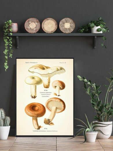 Peber Mælkehat Svampe plakat featuring vintage-style mushroom illustrations in brown, white, and cream tones on a framed poster.