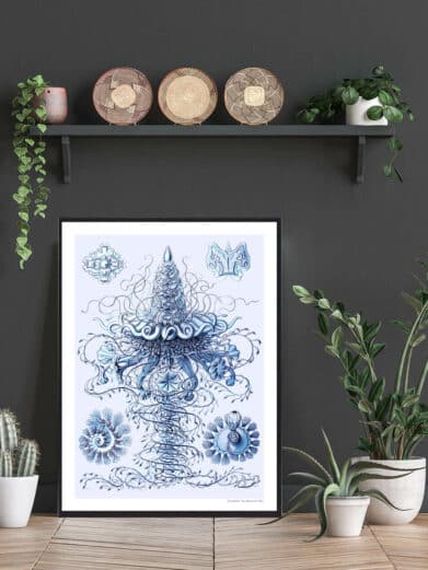 Protoxo botanical art print in blue. A detailed vintage-style nature illustration adds a unique, calming touch to your home décor.