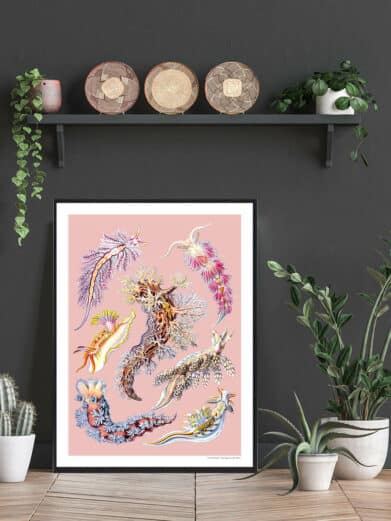 Ocean 6 plakat: Colorful nudibranchs art print. Nature-inspired wall art for home decor. Explore the beauty of the ocean.