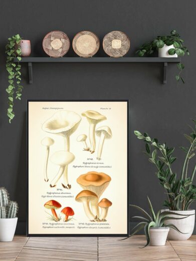 Snehvid vokshat Svampe plakat: Detailed vintage illustration of various mushroom species on a beige background, framed, surrounded by plants.