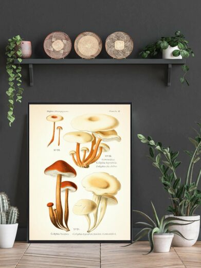 Tenstokket fladhat Svampe plakat: Botanical style print featuring detailed illustrations of various mushroom species, warm natural tones.