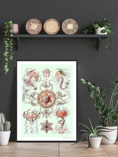 Ocean 6 plakat featuring vintage-style jellyfish illustrations in red and green hues against a pale green background.