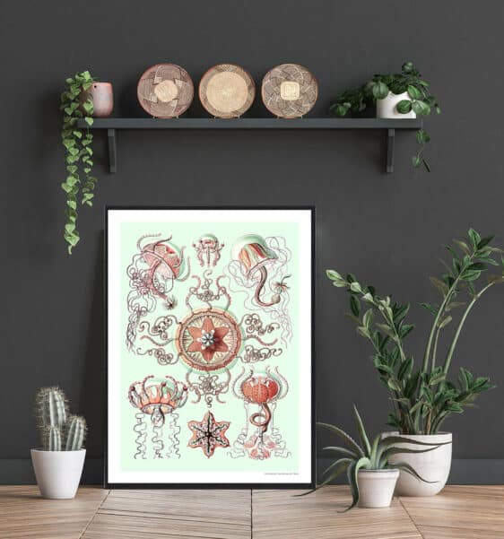 Ocean 6 plakat featuring vintage-style jellyfish illustrations in red and green hues against a pale green background.