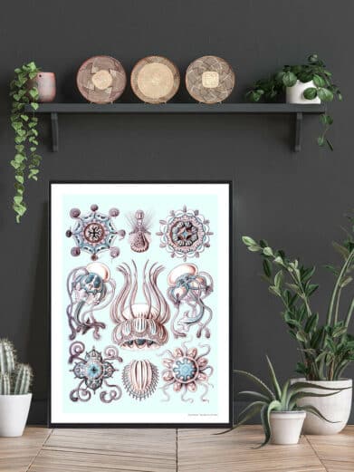 Ocean 6 plakat: Vintage-style nature art print with detailed drawings of jellyfish and sea creatures on a light blue background.