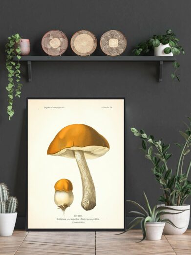 Close-up of the 'Versipellis - Svampe plakat' art print. Features a detailed illustration of orange-capped mushrooms.