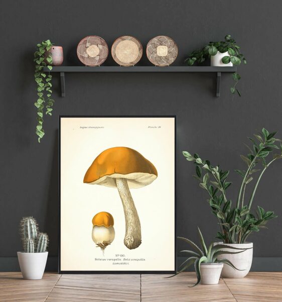 Close-up of the 'Versipellis - Svampe plakat' art print. Features a detailed illustration of orange-capped mushrooms.