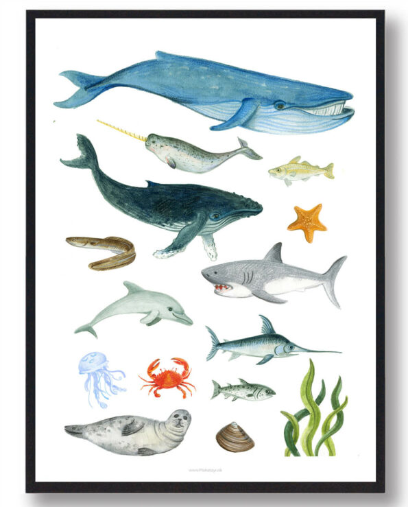 Dyr i havet – håndtegnet plakat
