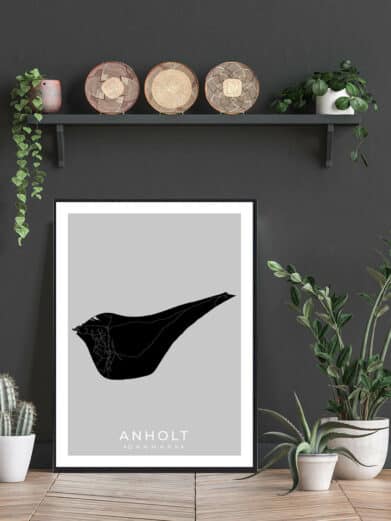 Anholt poster: A modern black and white map of the Danish island. Framed print with minimalist design, displayed with plants.