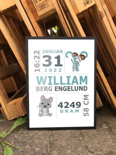 Fødselsplakat til den lille dreng, der viser barnets oplysninger ved fødslen. Du designer selv fødselsplakaten ved at indtaste oplysningerne og vælg dyr