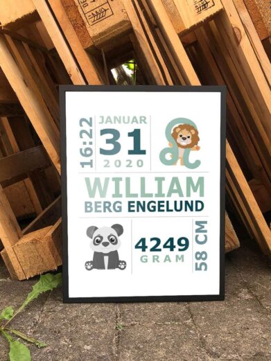 Fødselsplakat i flot design, der grafisk illustrerer barnets oplysninger ved fødslen. Billig barselsgave eller barnedåsbsgave