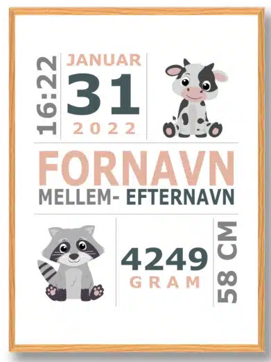 Fødselsplakat med vaskebjørn og ko som motiver