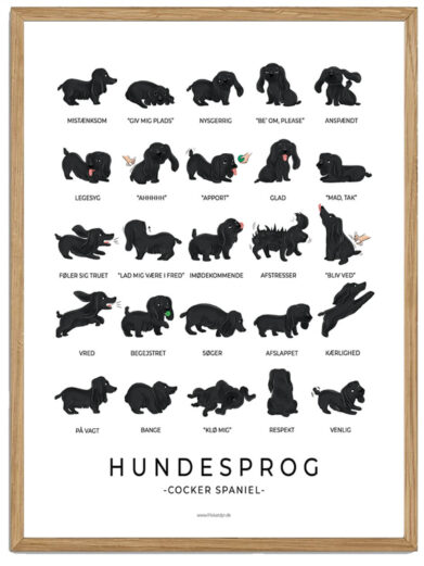 Cocker spaniel - sort Hundesprog plakat