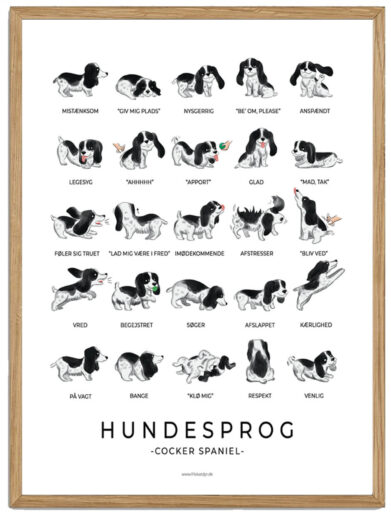 Cocker spaniel - sort/hvid Hundesprog plakat