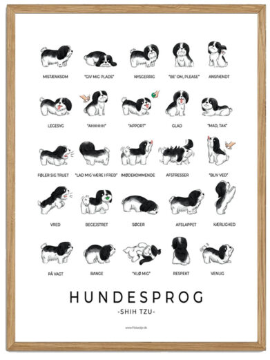 Shih Tzu plakat - Hundesprog (sort/hvid)