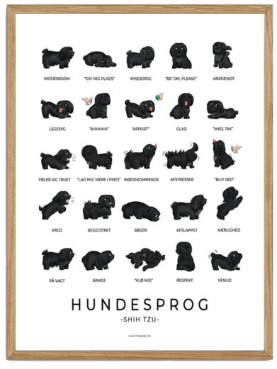 Shih Tzu plakat - Hundesprog (sort)