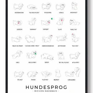 Bichon Havanais - Hundesprog plakat
