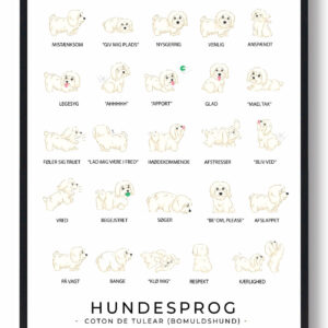Coton de Tulear - Bomuldshund plakat - Hundesprog
