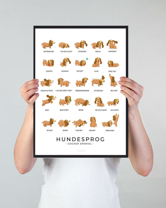 Plakat som viser din Cocker Spaniel hundesprog. Forstå din Cocker Spaniel bedre med denne plakat