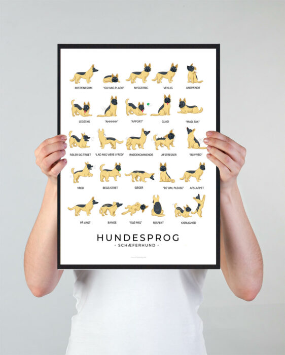 Plakat som viser din schæferhund hundesprog. Forstå din schæferhund hund bedre med denne plakat