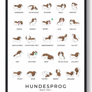 Shih Tzu plakat - Hundesprog
