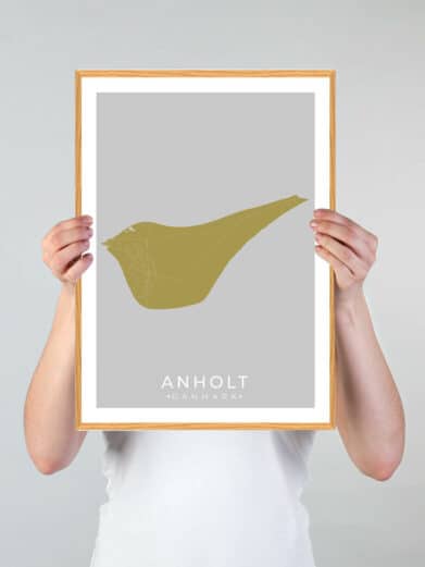 Anholt plakat - grøn by. Guld kort over Anholt øen i grå baggrund med træramme. Minimalistisk design, perfekt som vægkunst.