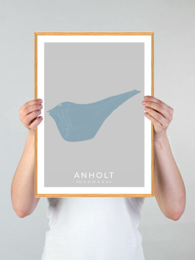 Anholt plakat i grønne og lyseblå nuancer, der viser øens kortdetaljer. Moderne design med træramme.