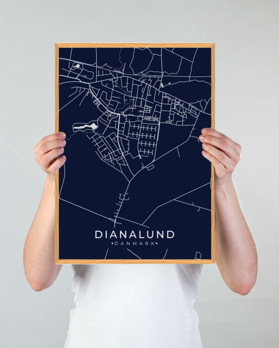 Dianalund byplakat i stilrent design. Denne Dianalund byplakat er med mørkeblå baggrund og viser Dianalund fra sin smukkeste side