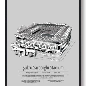 Sukru Saracoglu Stadium - Fenerbahçe grå