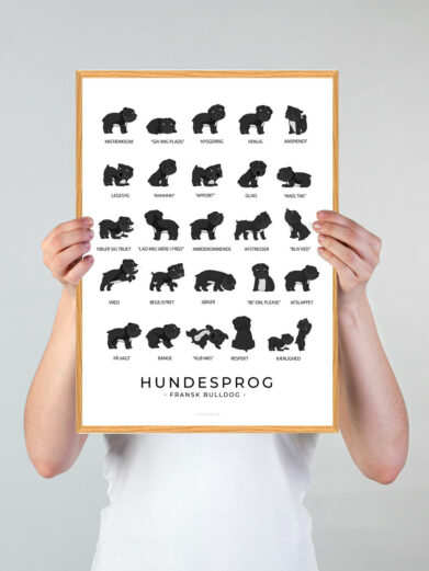Plakat som viser din franske bulldogs hundesprog. Forstå din franske bulldog hund bedre med denne plakat