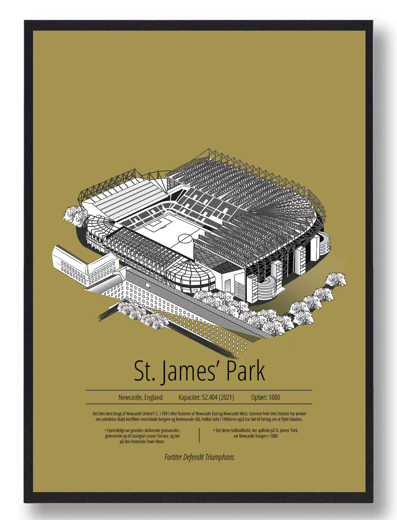 St. James Park Newcastle Gul Størrelse: L 50x70cm B2