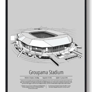 Lyon - Parc Olympique Lyonnais grå