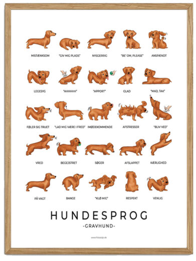 Gravhund plakat - Hundesprog