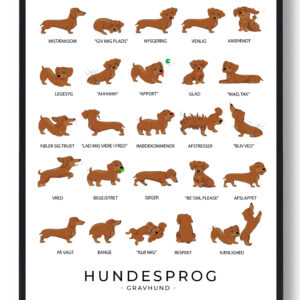 Gravhund plakat - Hundesprog