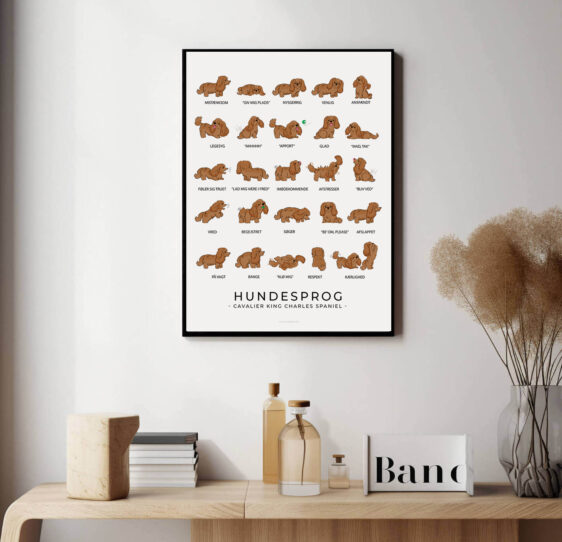 King Charles Spaniel hundesprogsplakat. Søde plakat med King Charles Spaniel som passer perfekt i hjemmet hvor der bor en King Charles Spaniel