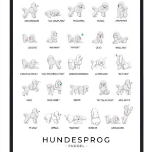 Puddel plakat - Hundesprog