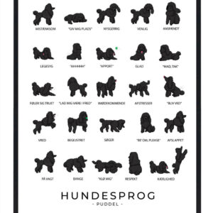 Puddel sort plakat - Hundesprog