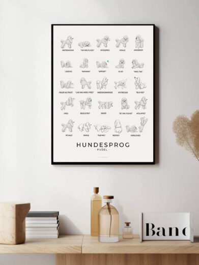 Puddel hundesprogsplakat. Søde plakat med Puddel som passer perfekt i hjemmet hvor der bor en Puddel