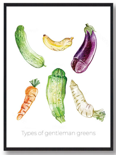 Types of gentleman fruits - Penis plakat