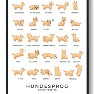 Cairn Terrier - Hundesprog plakat