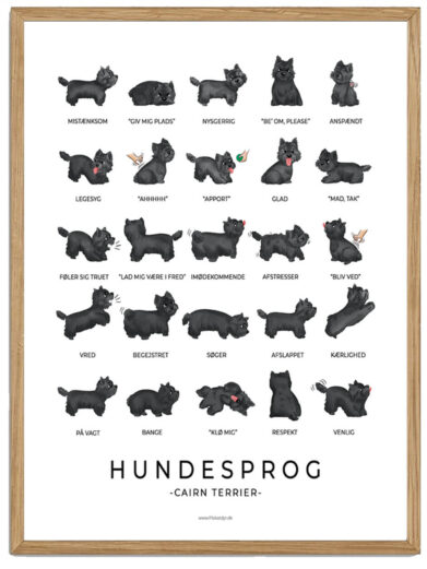 Cairn Terrier - Sort hundesprog plakat