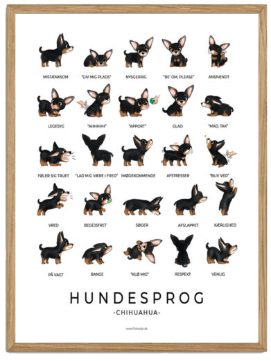 Chihuahua - Hundesprog plakat (sort)