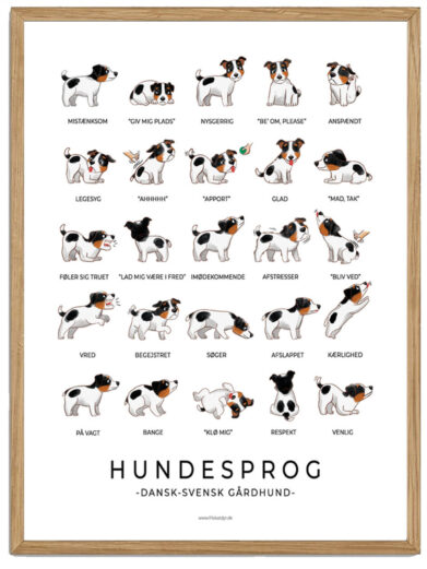 Dansk Svensk Gårdhund - Hundesprog plakat